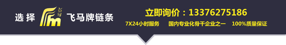 常州市飛馬鏈傳動有限公司 鏈條|鏈輪|輸送鏈--常州市飛馬鏈傳動有限公司